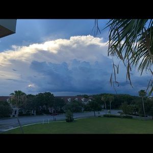 Meet your Posher, Gianna